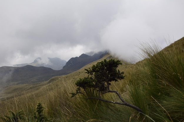 Rucu Pichincha 화산 주변의 산으로가는 길 안데스 산맥 Pichincha 화산 키토