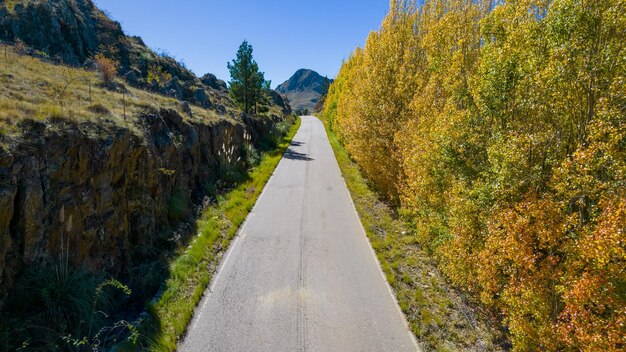 A road in the mountains with trees on both sides