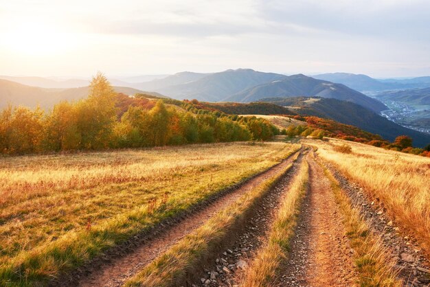 Photo road in the mountains wonderful autumn mountain landscape majestic overcast clouds in sunlight spruce forest on mountain hillside in sunny day