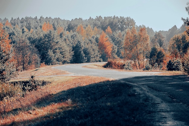 The road to nature mountains forest summer