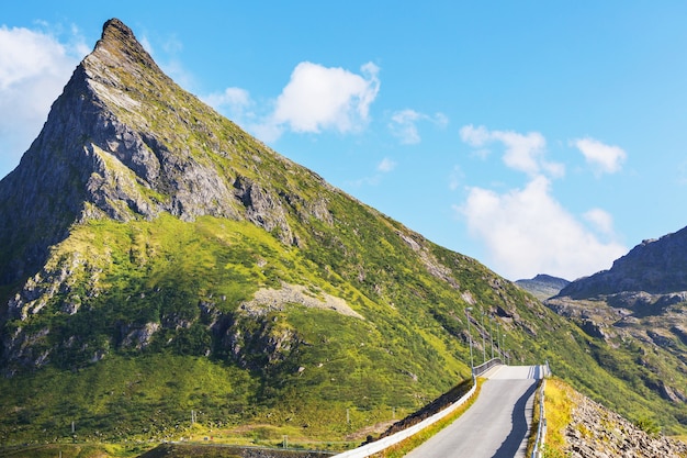 夏のノルウェーの山々の道