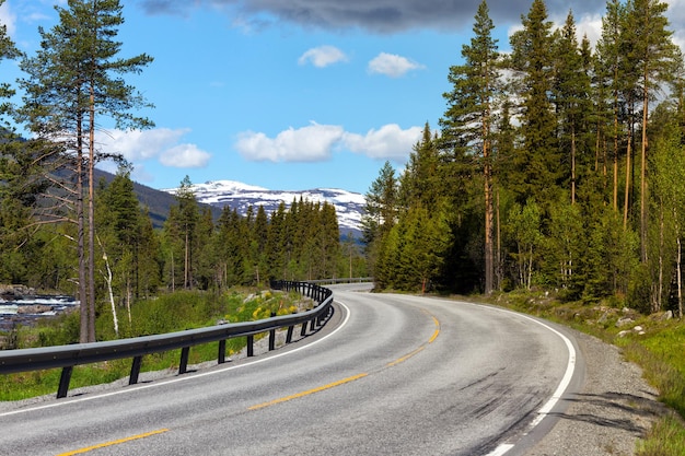 ノルウェーの山々の道