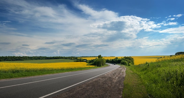 Road panorama on sunny summer day in countryside