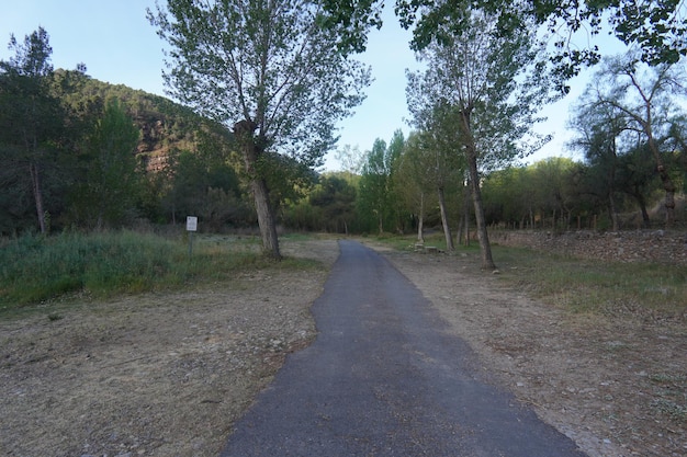 公園への道には「登山道は開いています」という標識が舗装されている