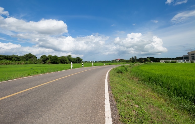 道路谷トラフ緑地