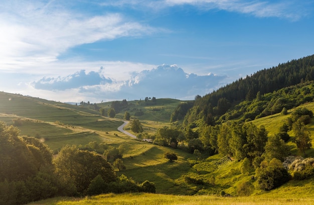 Road passes and meanders among hills covered with forests against the background of an cloudy sky