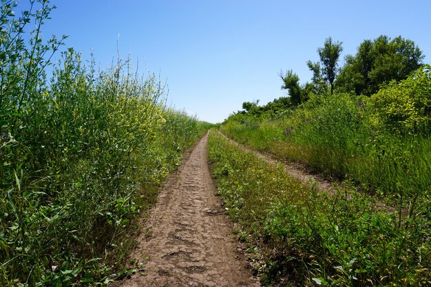 The road passes through a field against a blue sky