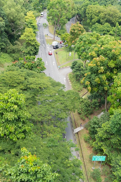 road passes through the park.