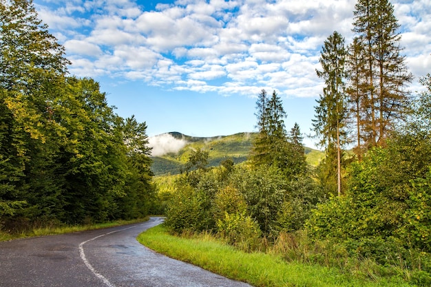 森と山の近くを通る道路青い空と雲の自然の風景