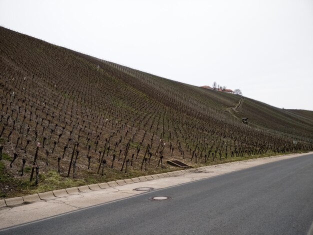 Foto strada che attraversa un campo agricolo contro un cielo limpido