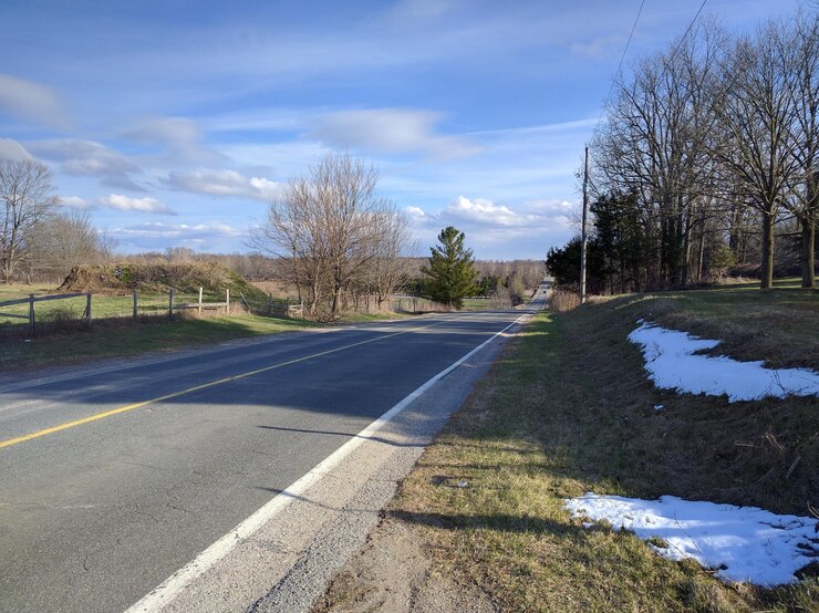 Photo road passing through bare trees