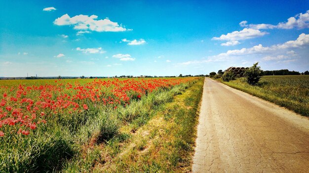 Road passing through field against cloudy sky