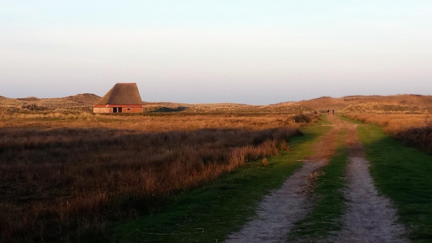 Road passing through field