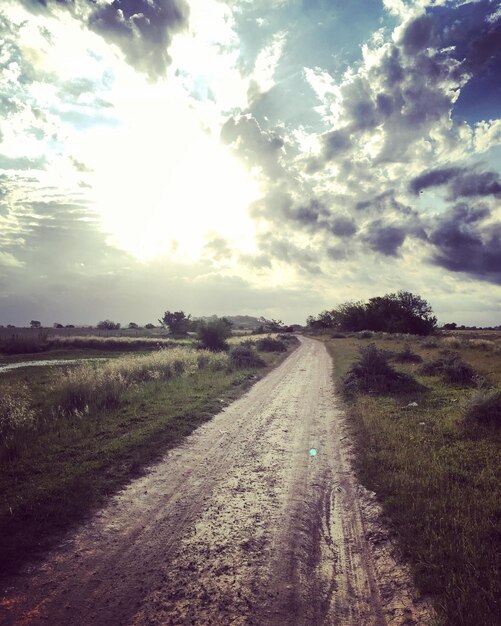 Road passing through field