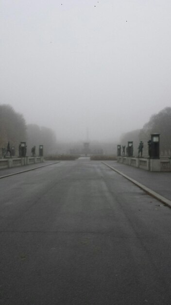 Foto strada che attraversa il tempo nebbioso