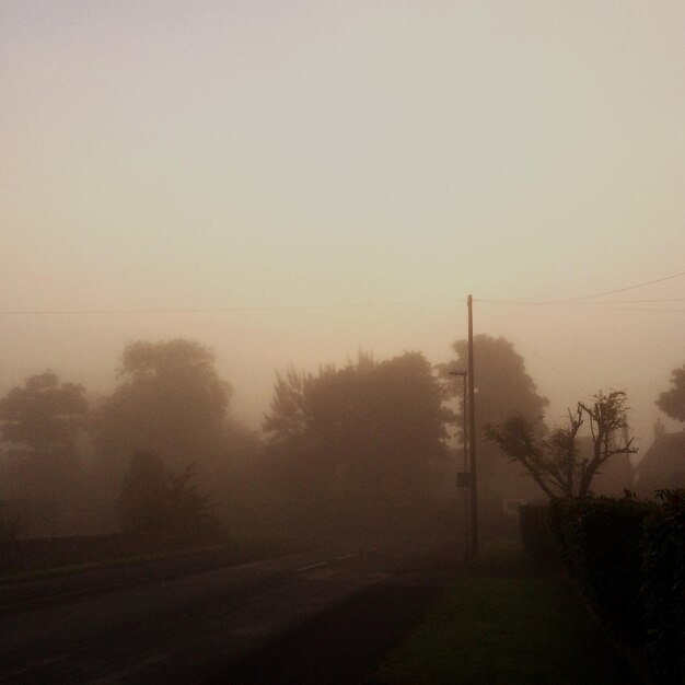 Photo road passing through foggy weather