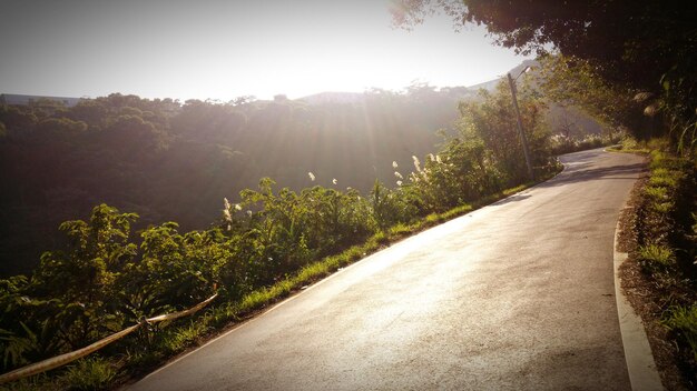 Foto strada che passa attraverso la foresta