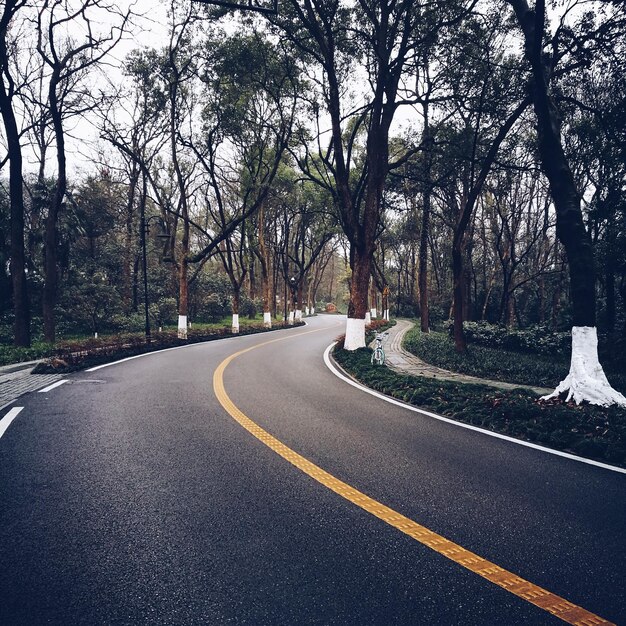 Photo road passing through forest