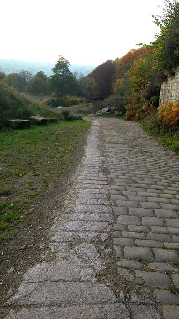 Foto strada che attraversa le montagne