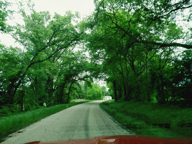 Foto strada che attraversa gli alberi