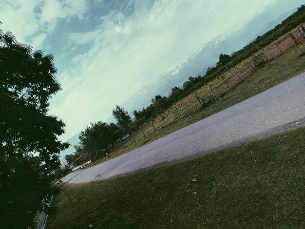 Road passing through trees