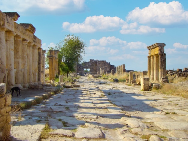 터키 히에로폴리스 고대 도시의 폐허 사이에 돌로 포장된 도로