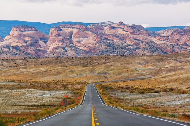 Road in the prairie country. Deserted natural landscape.