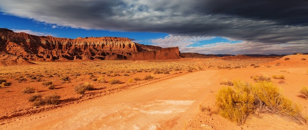 Road in the prairie country