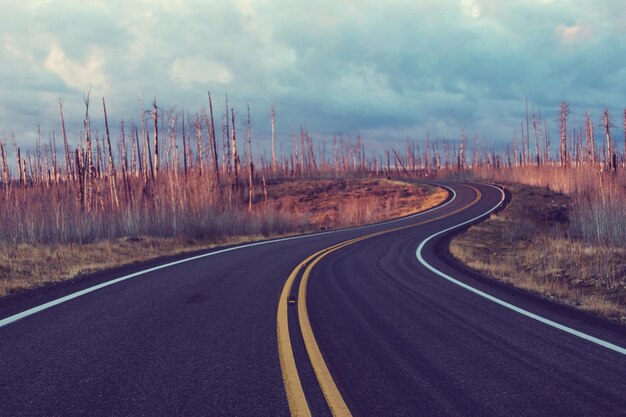 Photo road in the prairie country