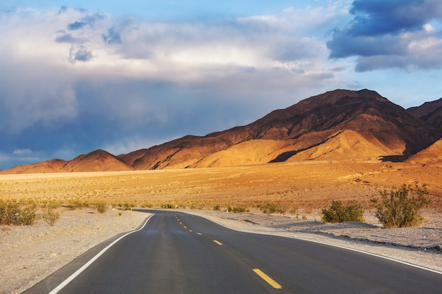 Road in the prairie country