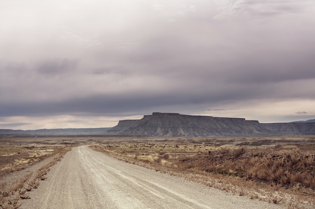 Foto strada nel paese della prateria