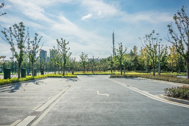 Photo road in russian forest