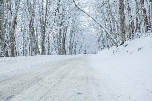 Road in Sabaduri forest with covered snow. Winter time. Landscape