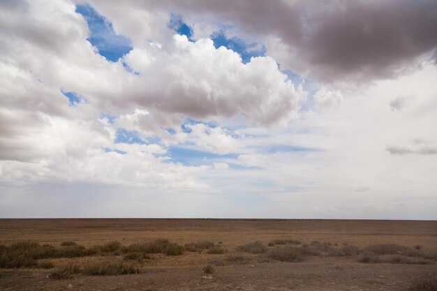 Road to Serengeti national park Tanzania landscape