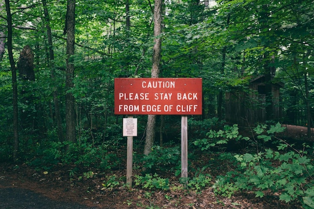 Photo road sign against trees in forest