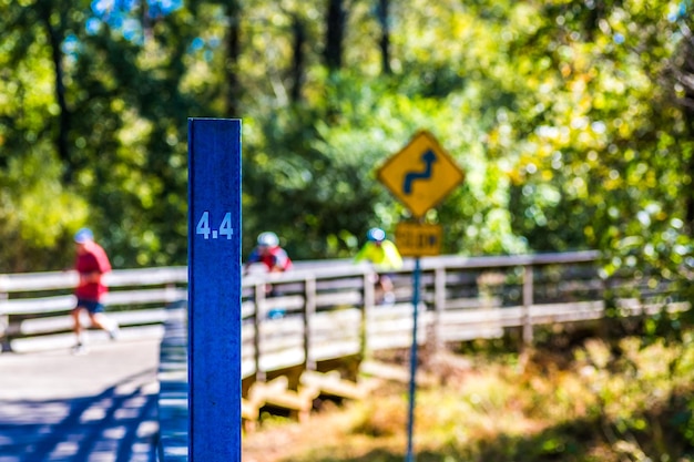 Photo road sign against trees