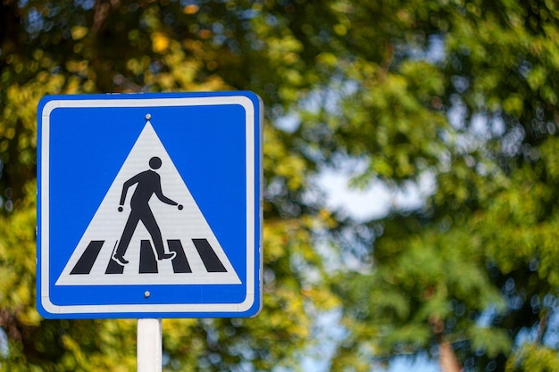 Foto segnale stradale contro gli alberi