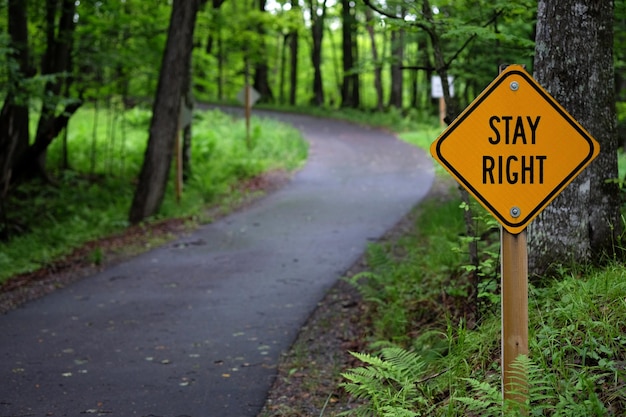 Road sign by footpath in forest