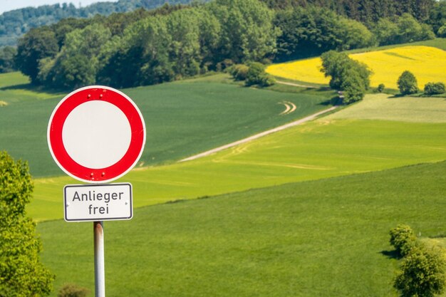 Foto segnale stradale dagli alberi