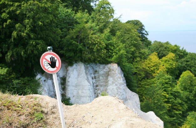 Foto segnale stradale dagli alberi