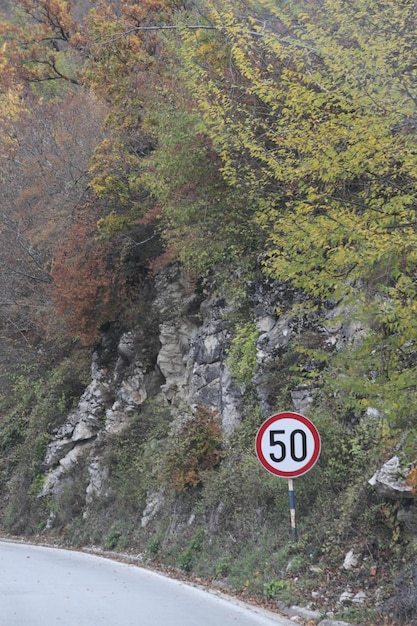 Photo road sign by trees