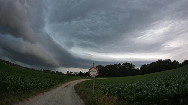 Foto segno stradale sul campo contro il cielo