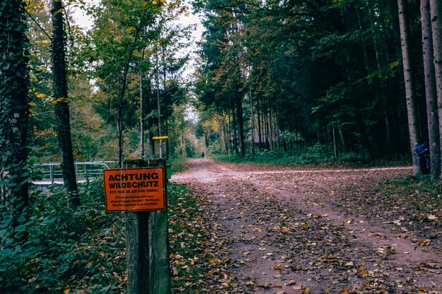 Photo road sign in forest