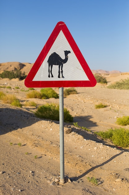 Cartello stradale con figura di cammello ar strada del deserto