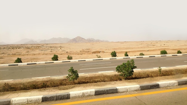 Road in the Sinai desert Sharm el Sheikh in Egypt