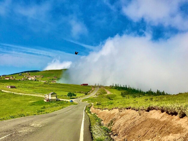 A road sky earth and butterfly meet a blue car at the crossroadsnorthern asia 2018