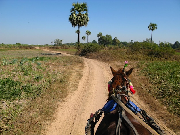 The road in the small village Myanmar