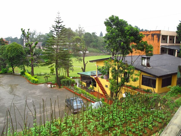 The road on the small village of Sri Lanka