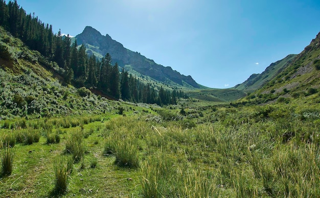 Road to SonKul Lake