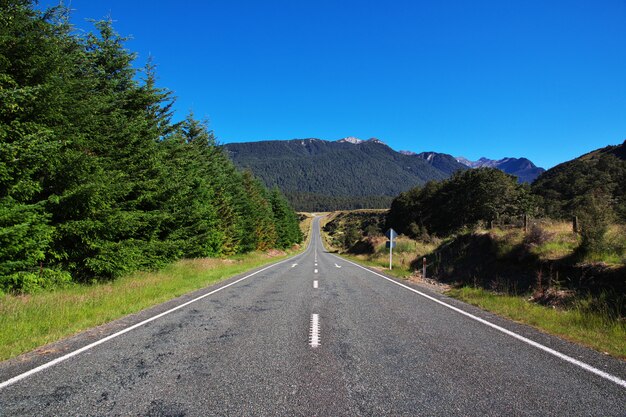 Road on South island, New Zealand